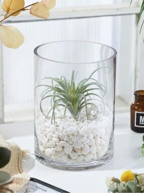 NEW! 💐 Clear Glass Cylinder Vase – Simple & Versatile! ✨